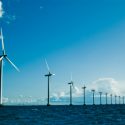 Cape Wind – Surviving A Dysfunctional Environmental Permitting Process